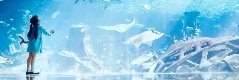Atlantis The Palm: Enjoy Spectacular Views of Azure Arabian Seas !