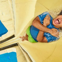 Atlantis The Palm: Save Big on Marine & Water Park Atlantis Aquaventure