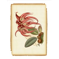 Jaypore: Get up to 30% OFF on Home & Decor