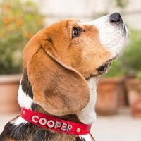 Heads Up For Tails: Get up to 15% OFF on Personalised Items