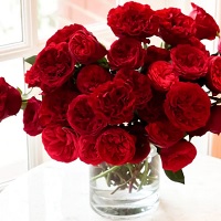 Grace Rose Farm: Up to 20% OFF on Selected Fragrant Roses
