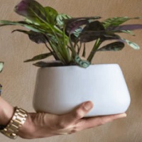 Ugaoo: Pots & Planters: Up to 40% OFF