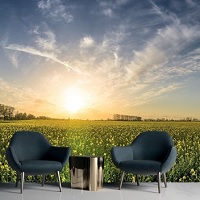 Jackery DE: Bis zu 20% Rabatt auf Solargeneratoren