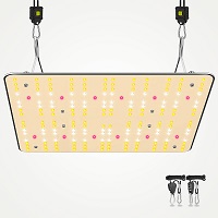TheBudGrower: Get up to 20% OFF on Grow Lights