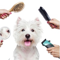 Ultimate Pet Nutrition: Dog Products: Up to 50% OFF