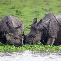 Tripify: Get up to 40% OFF on North East Packages