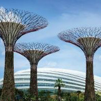 Musafir: From ₹ 20,500 on Singapore Tour Package Bookings