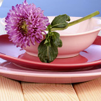 Shop CJ: Get up to 73% off Tableware Orders