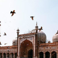 Air Arabia: Starting at ₹ 8,056 off Delhi / India Flights Bookings Orders