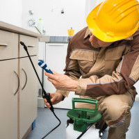 Urban Company: Get Professional Service off Pest Control Bookings Orders