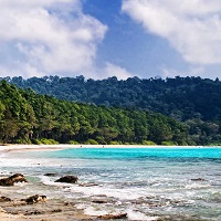Make My Trip: From ₹ 11,784 on Andaman Holidays Package Bookings Orders
