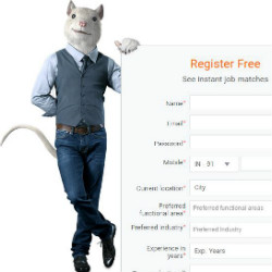 Shine: Find Your Dream on 3,00,000 Jobs From 14,000 Companies Site-Wide