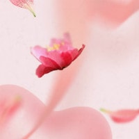 Rosewholesale: Upto 75% OFF on Trending Bestsellers !