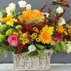Winni: From ₹ 349 on Best Flower Deliveries !