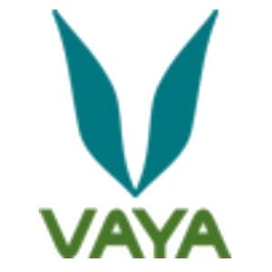 Vaya Coupons