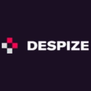 DESPIZE Coupons
