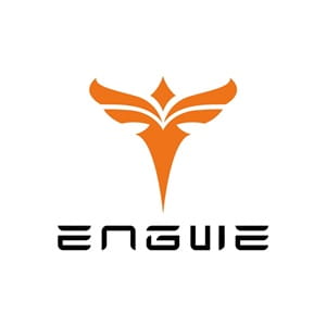Engwe DE Coupons