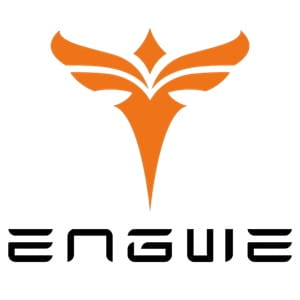Engwe NL Coupons